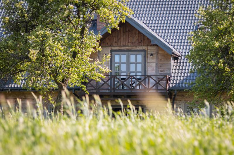 stara szkoła o poranku