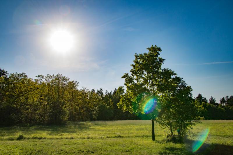 południe na roztoczu