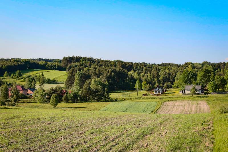 roztoczański krajobraz